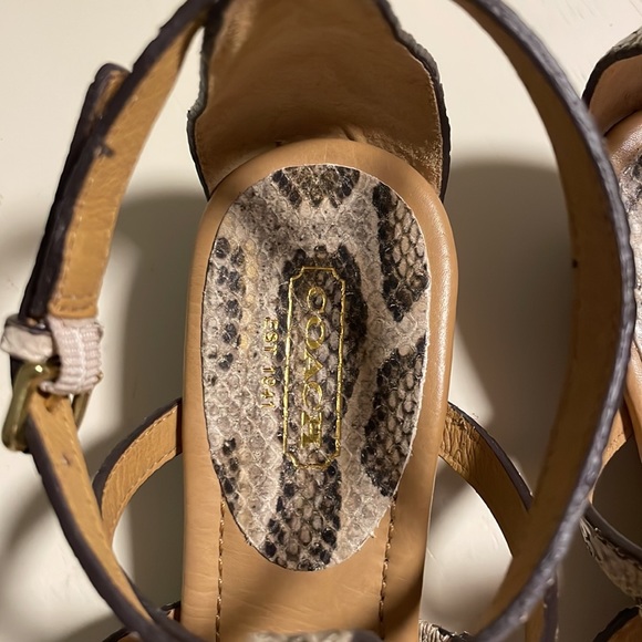 Coach printed python Vicky sandals size 7 worn once - Picture 6 of 15
